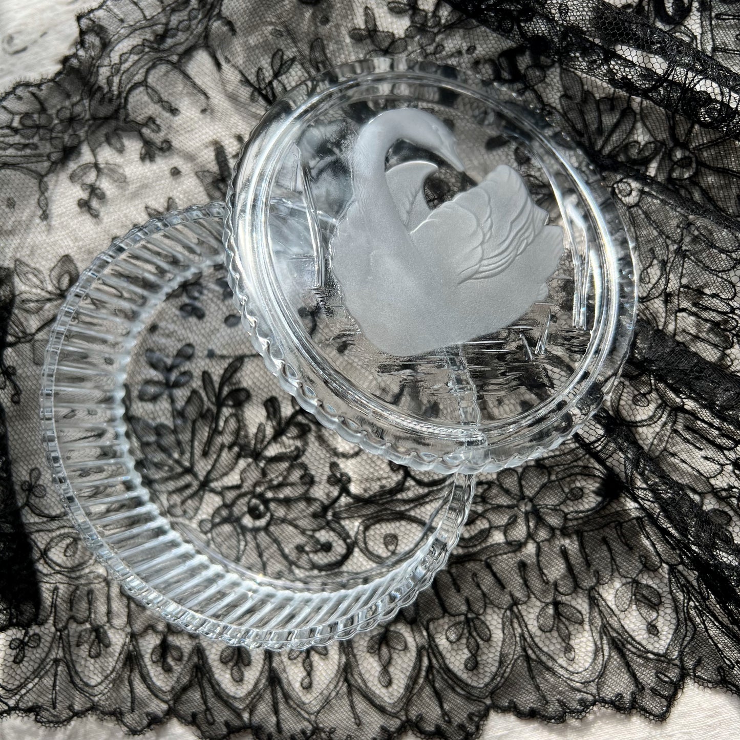 【Vintage】France - 1960s Swan Glass Case