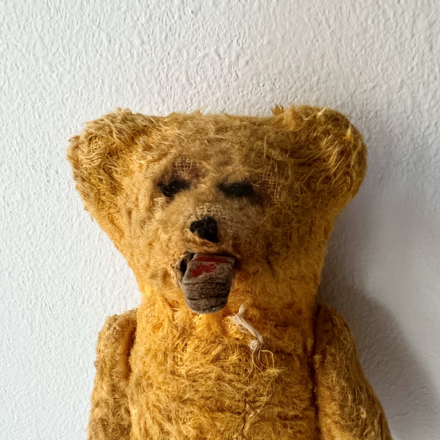 【Antique】Germany - 1900-1920s Teddy Bear