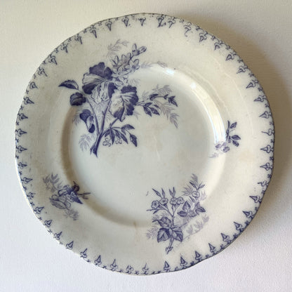 【Antique】France - Sarreguemines U&C 1880‐1910s Flore Plate