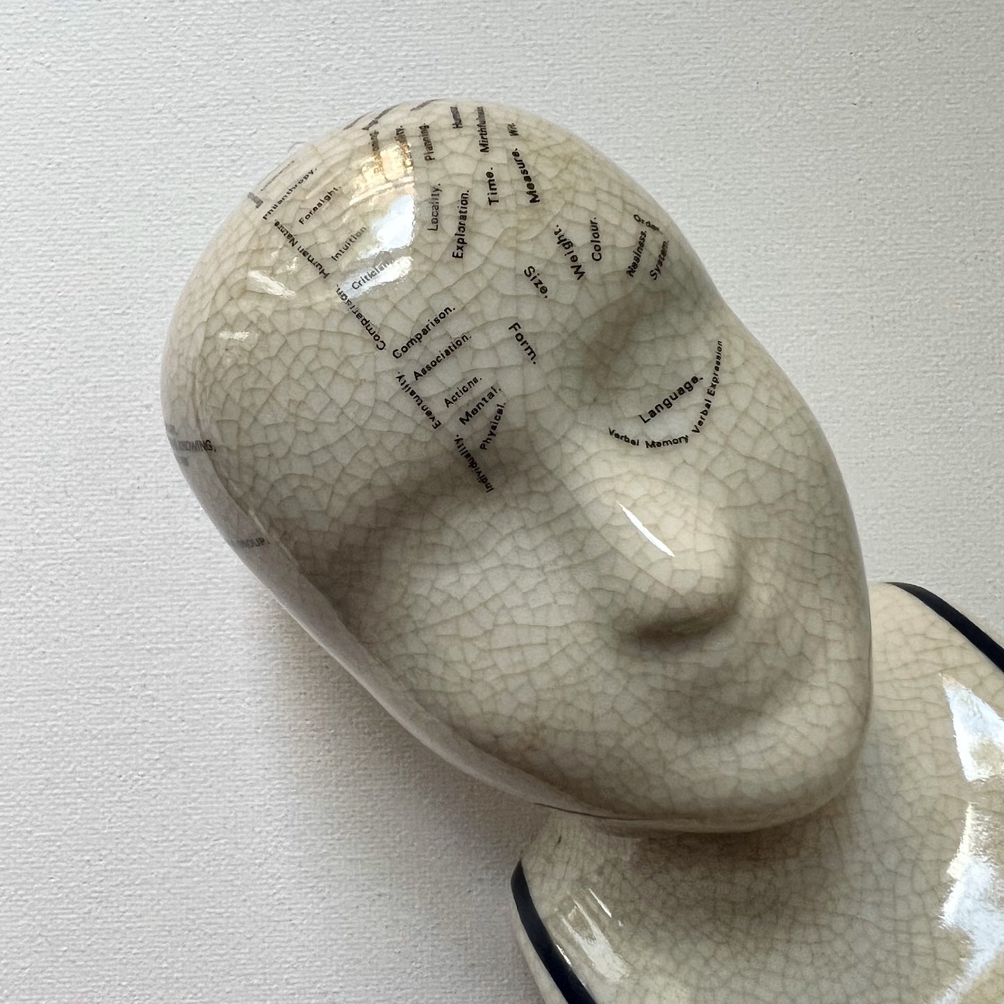 【Vintage】England - 1970s L.N. Fowler Pottery Phrenology Head