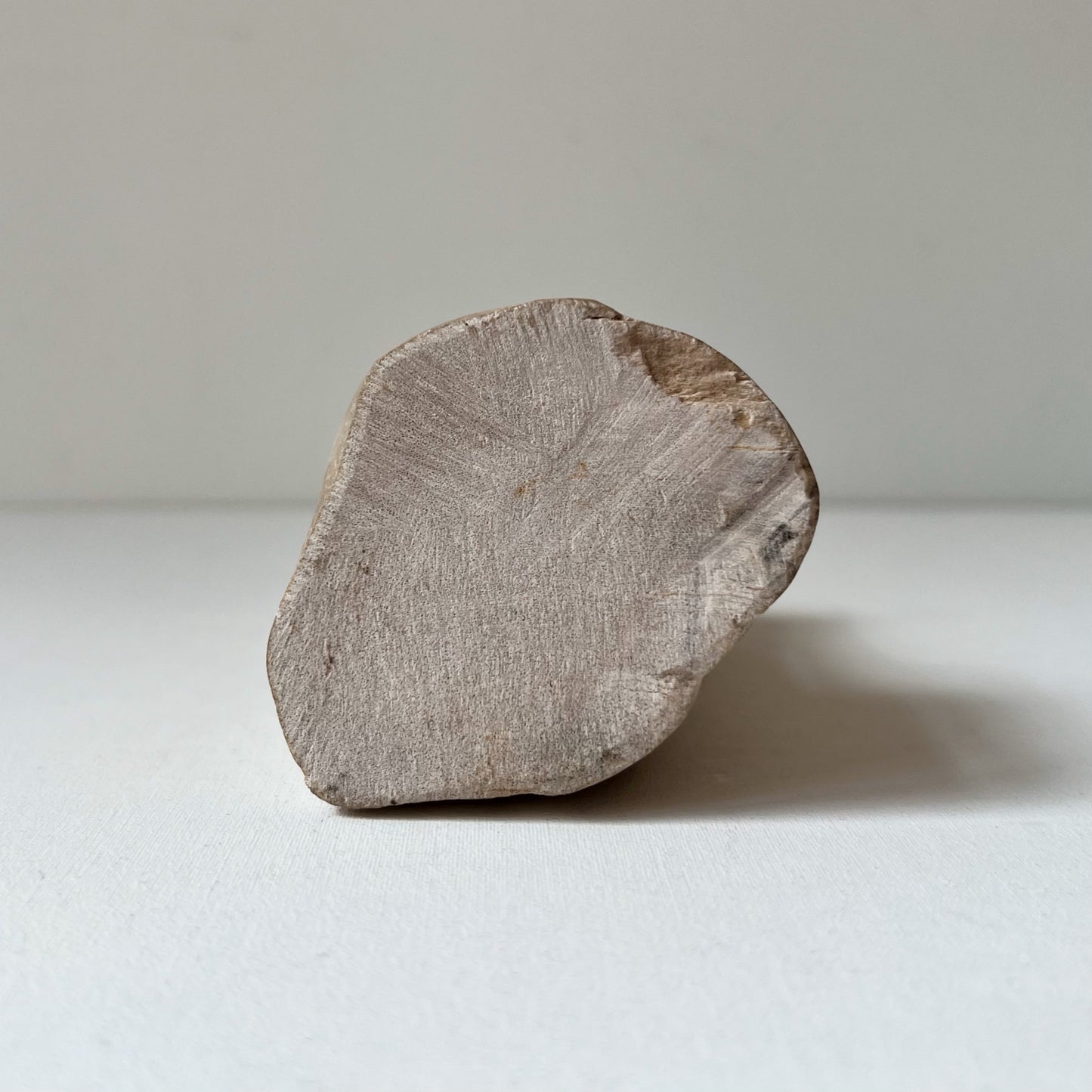 【Antique】US - Petrified Wood Object