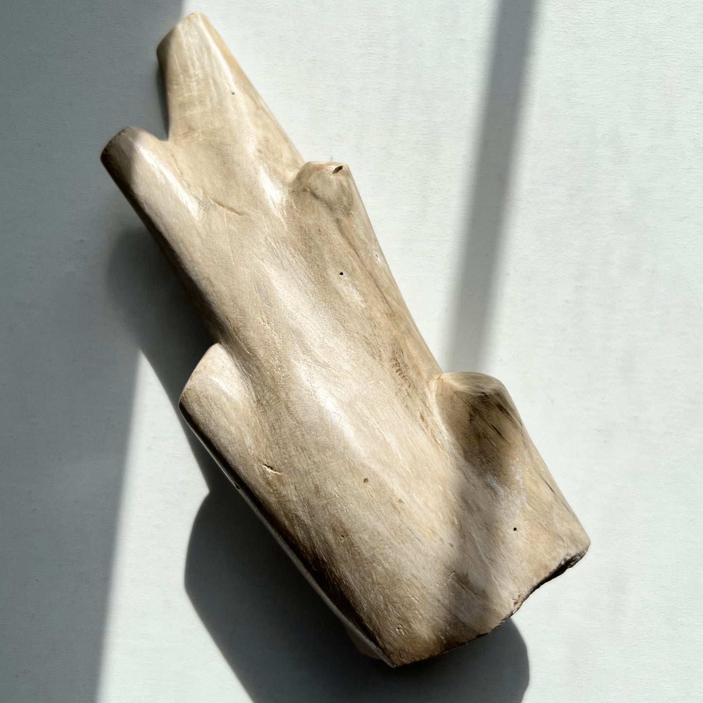 【Antique】US - Petrified Wood Object