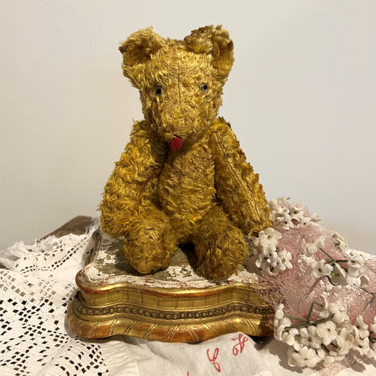 【Vintage】Germany ‐1950s Honey Bear（21.5㎝）