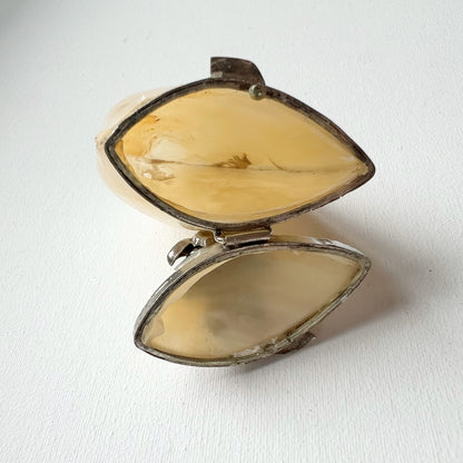 【Antique】France - 1880s Mother of Pearl Case