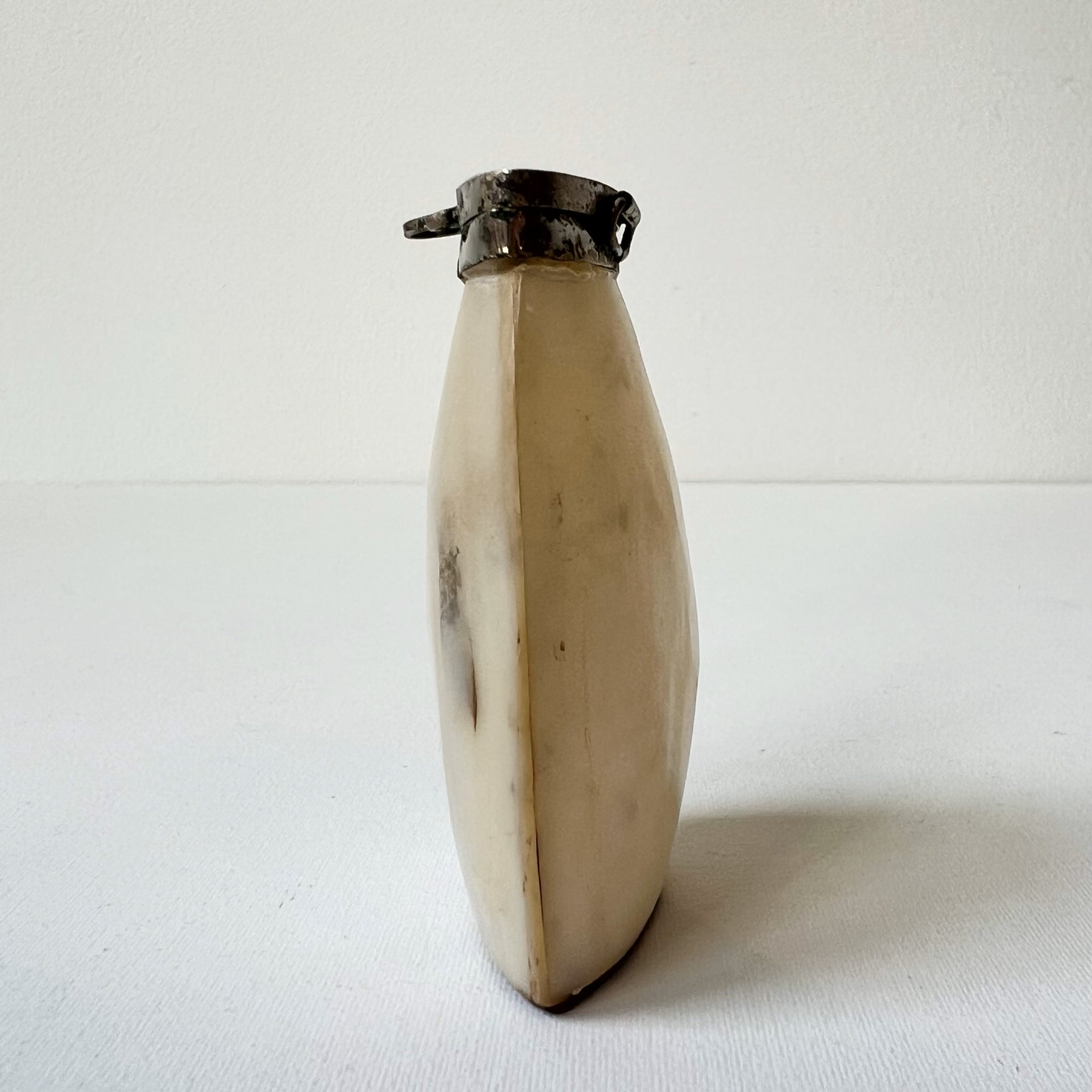 Antique】France - 1920s Mother of Pearl Salt & Pepper Shaker Lot