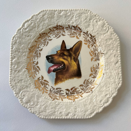 【Vintage】England ‐ Lord Nelson Pottery 1950s～ Shepherd Dog Motif Dish