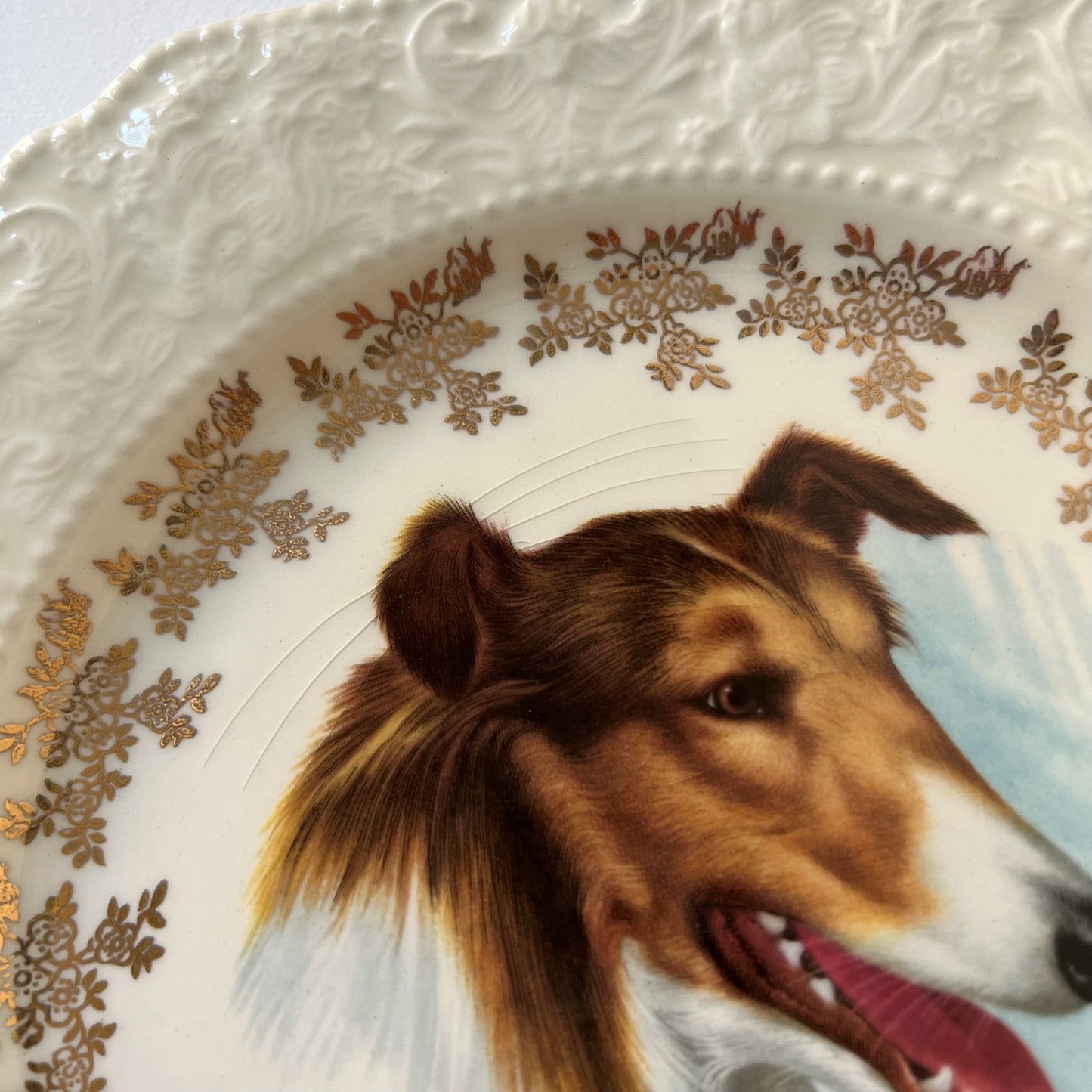 【Vintage】England ‐ Lord Nelson Pottery 1950s～ Collie Dog Motif Dish