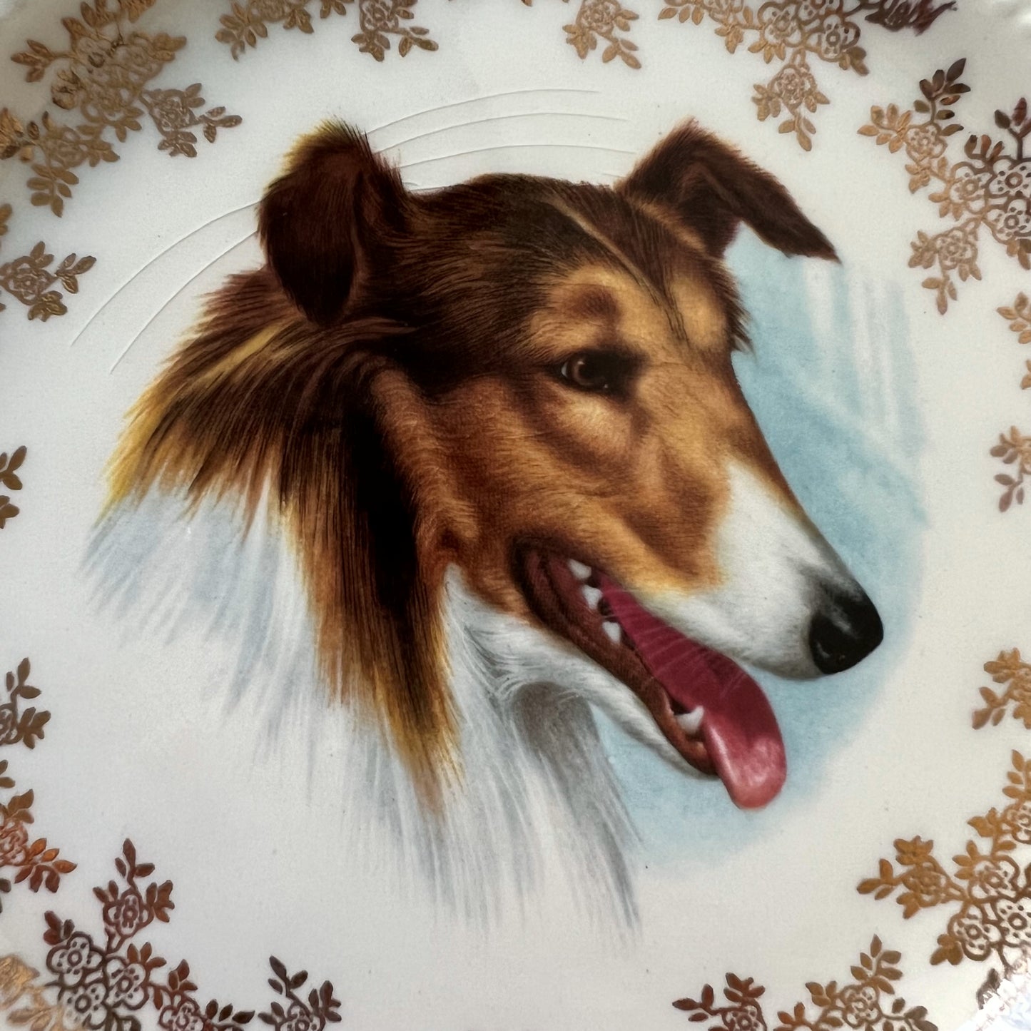 【Vintage】England ‐ Lord Nelson Pottery 1950s～ Collie Dog Motif Dish