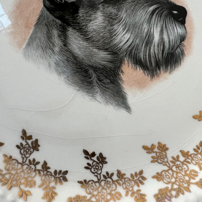 【Vintage】England ‐ Lord Nelson Pottery 1950s～ Schnauzer Dog Motif Dish