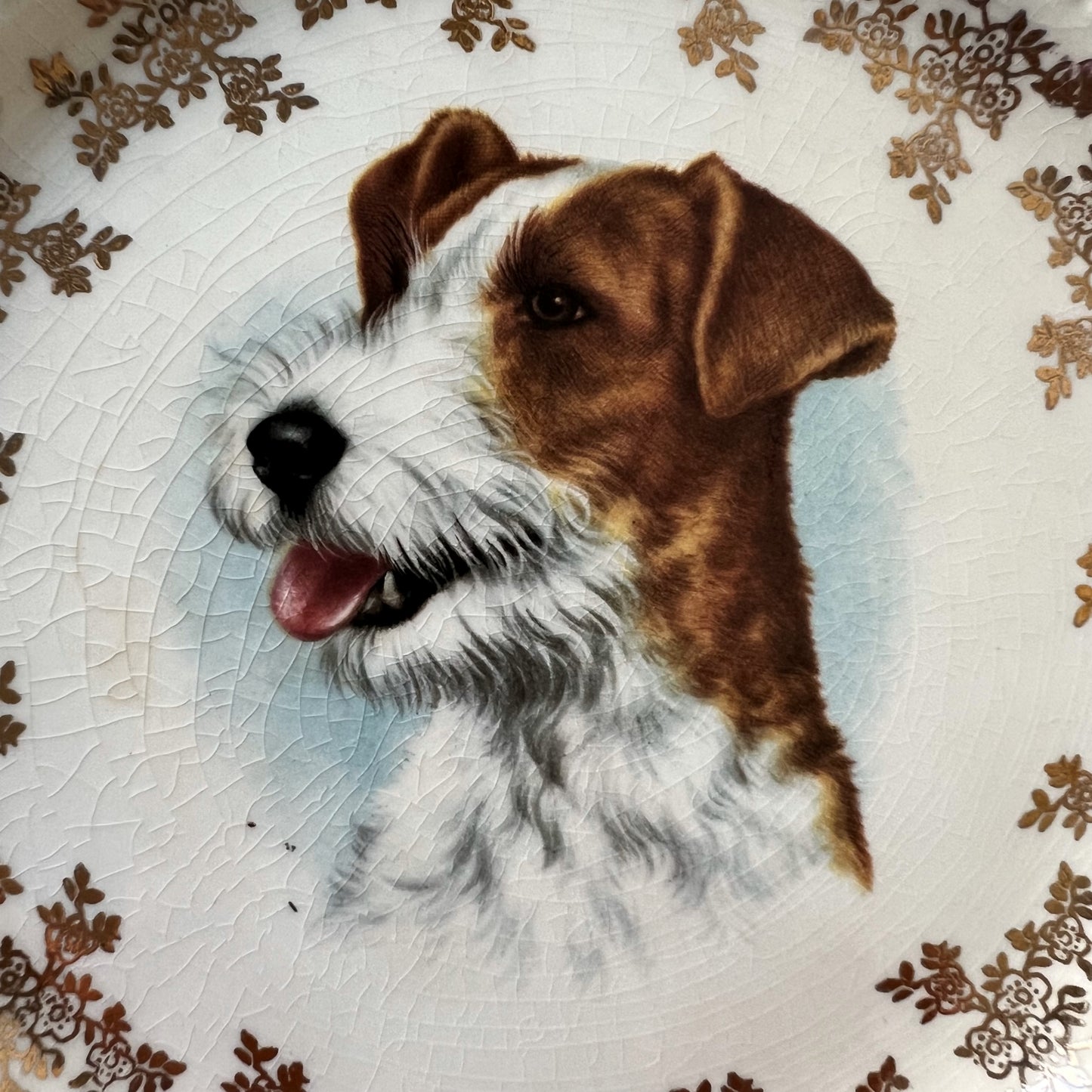 【Vintage】England ‐ Lord Nelson Pottery 1950s～ Jack Russell Terrier Dog Motif Dish