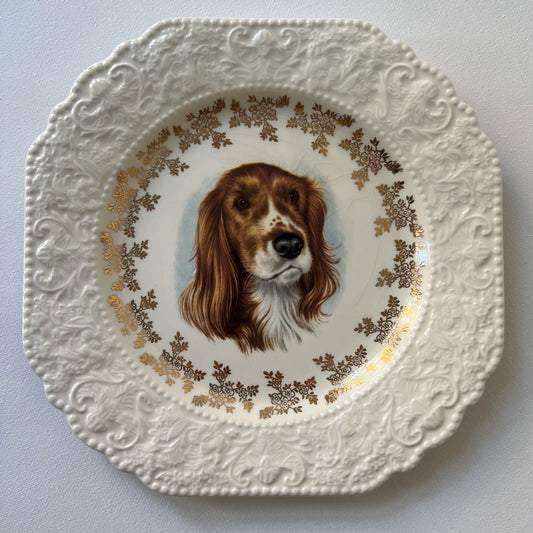 【Vintage】England ‐ Lord Nelson Pottery 1950s～ Cocker Spaniel Dog Motif Dish