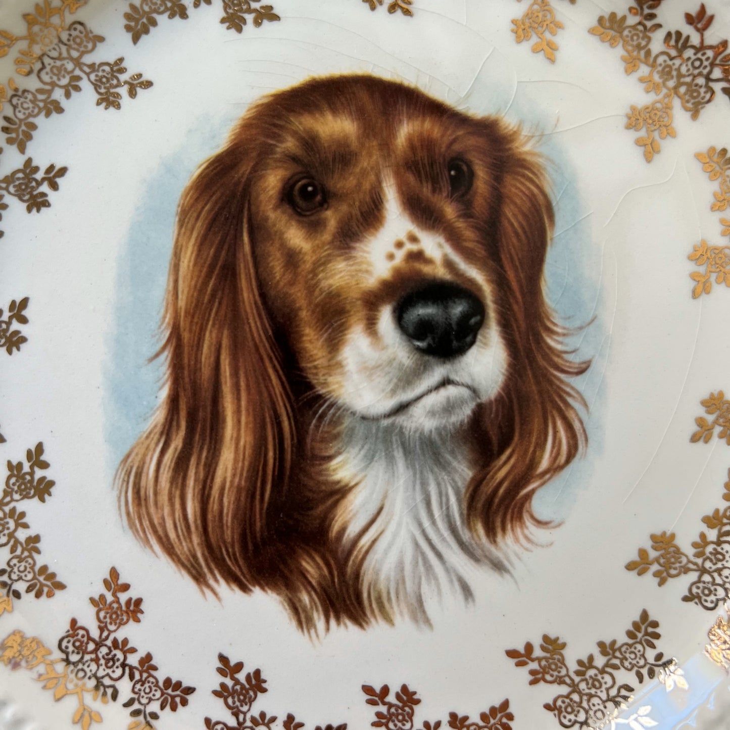 【Vintage】England ‐ Lord Nelson Pottery 1950s～ Cocker Spaniel Dog Motif Dish