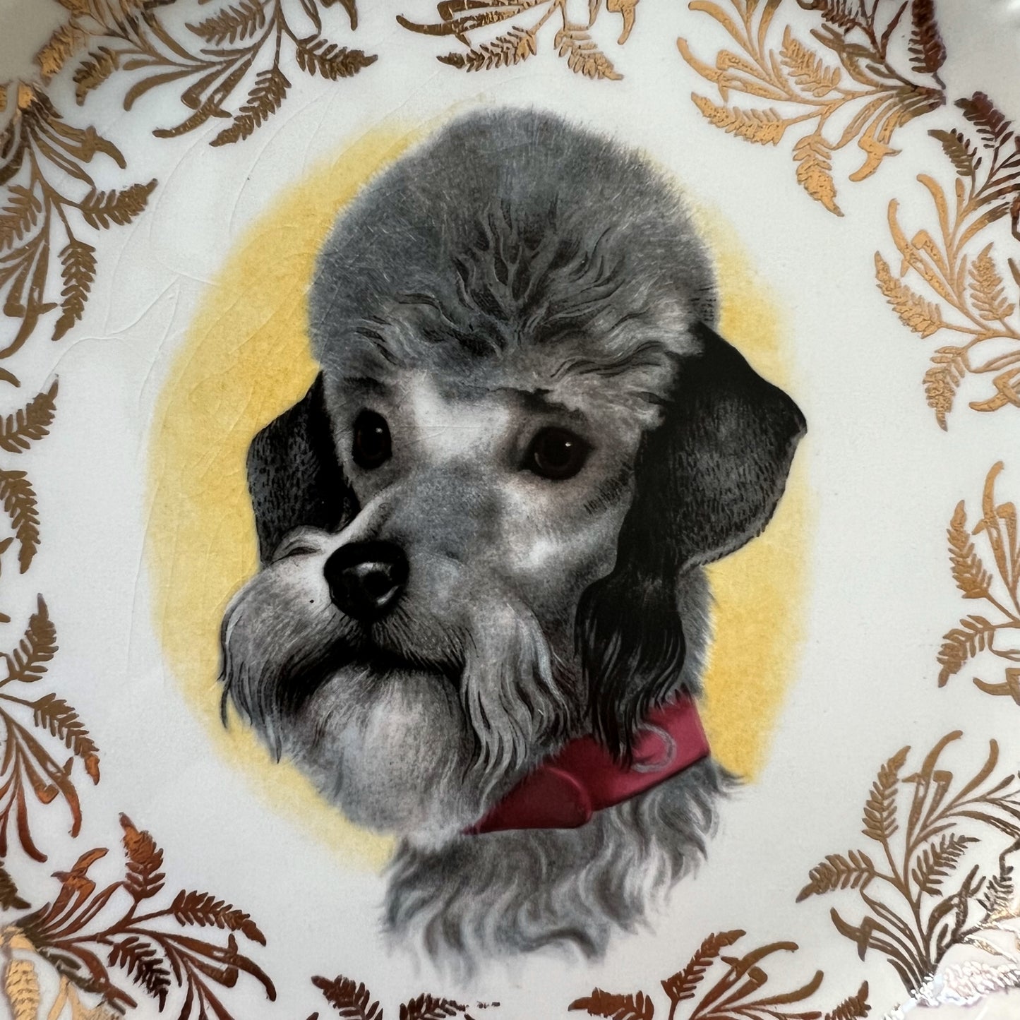 【Vintage】England ‐ Lord Nelson Pottery 1950s～ Poodle Dog Motif Dish