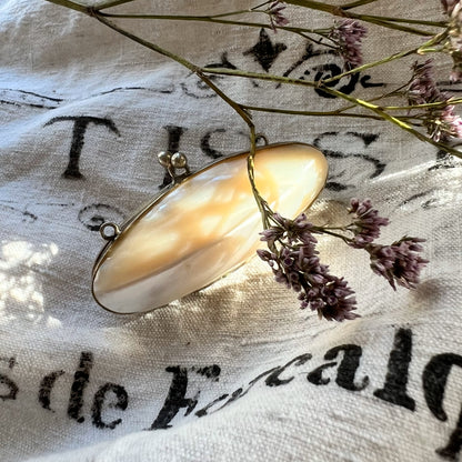 【Antique】France - 1900s Mother of Pearl Shell Purse