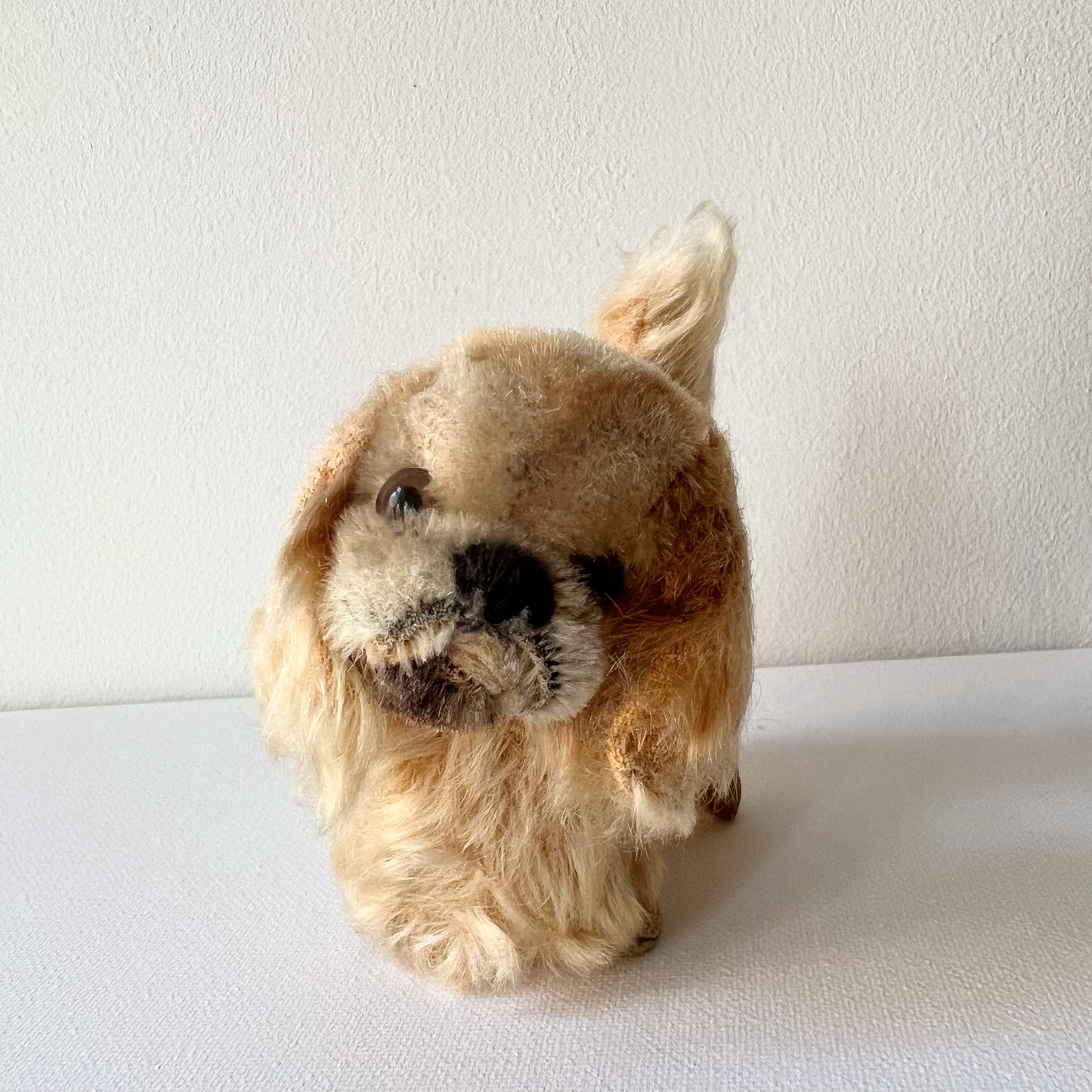 【Vintage】Germany - Steiff 1950s Pekingese ”Peky” 10cm