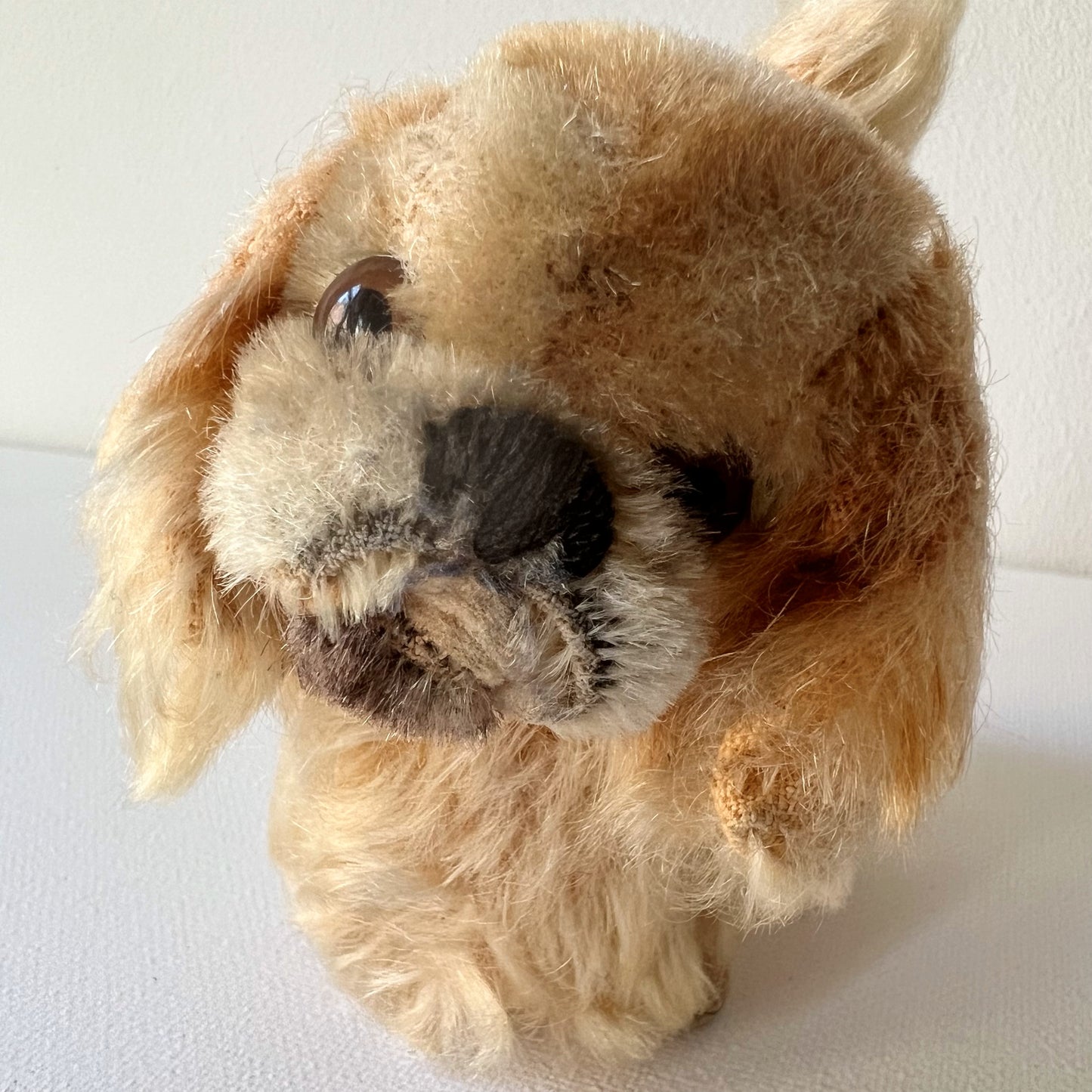 【Vintage】Germany - Steiff 1950s Pekingese ”Peky” 10cm