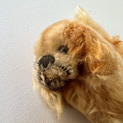 【Vintage】Germany - Steiff 1950s Pekingese ”Peky” 10cm