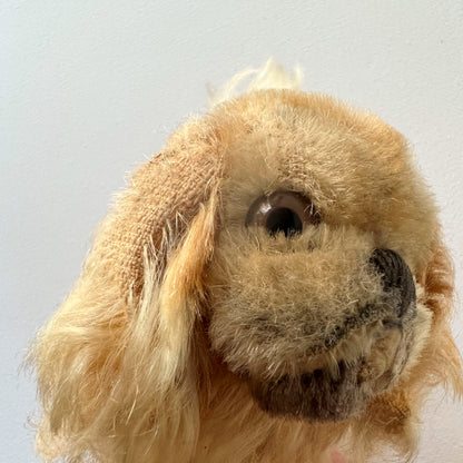 【Vintage】Germany - Steiff 1950s Pekingese ”Peky” 10cm