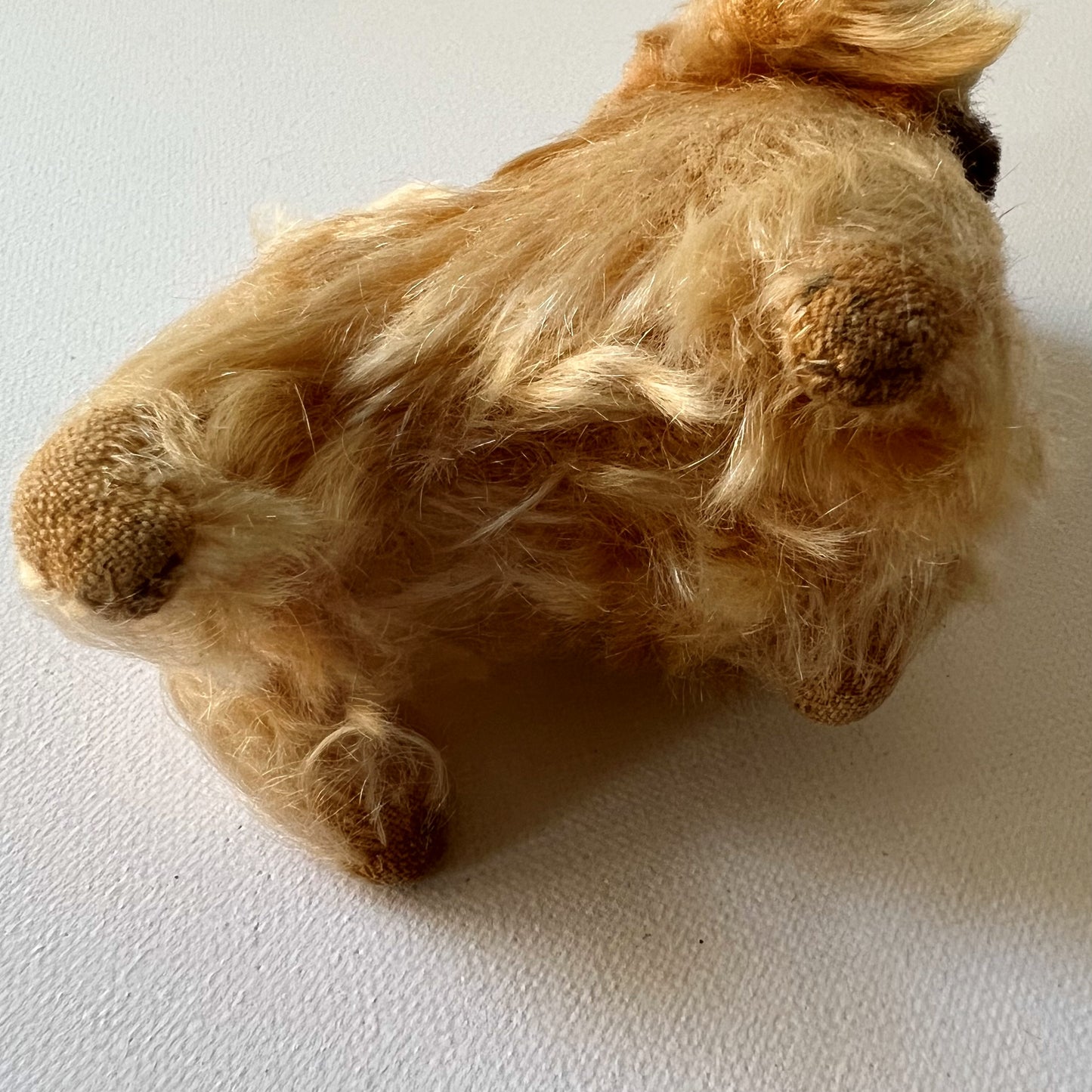 【Vintage】Germany - Steiff 1950s Pekingese ”Peky” 10cm