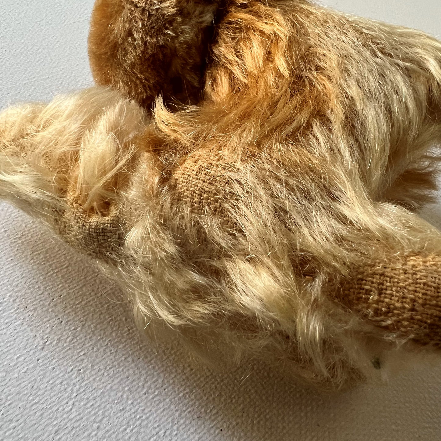 【Vintage】Germany - Steiff 1950s Pekingese ”Peky” 10cm